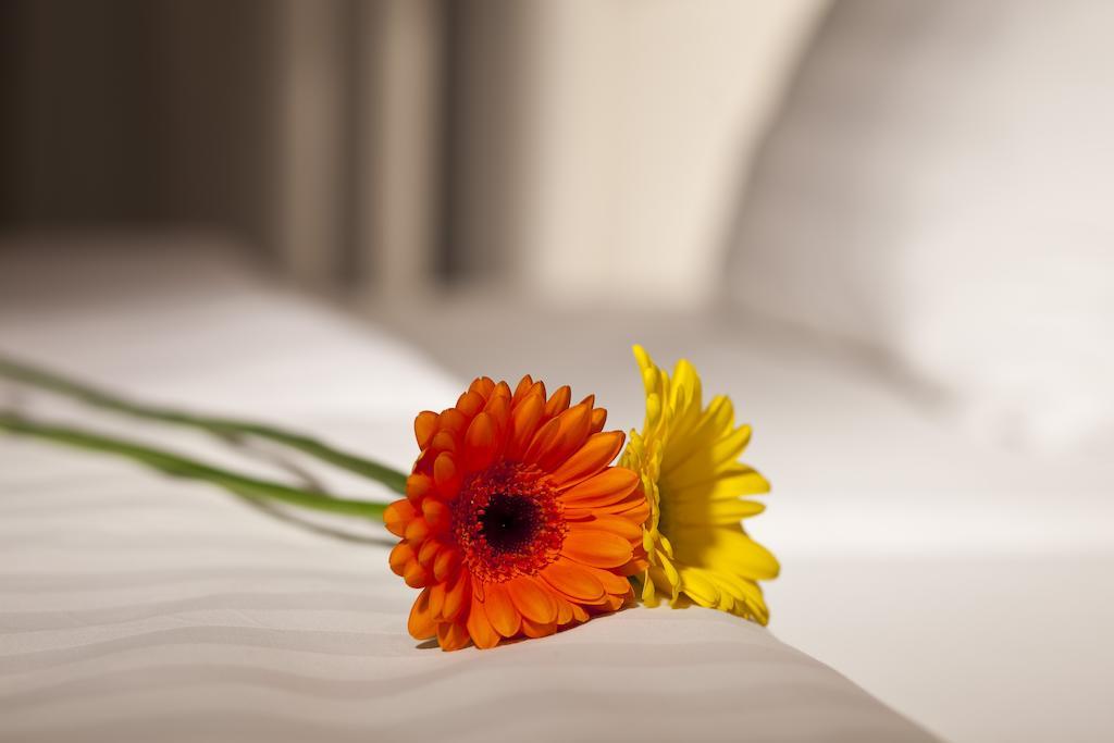Dahlia Inn ปราก ภายนอก รูปภาพ