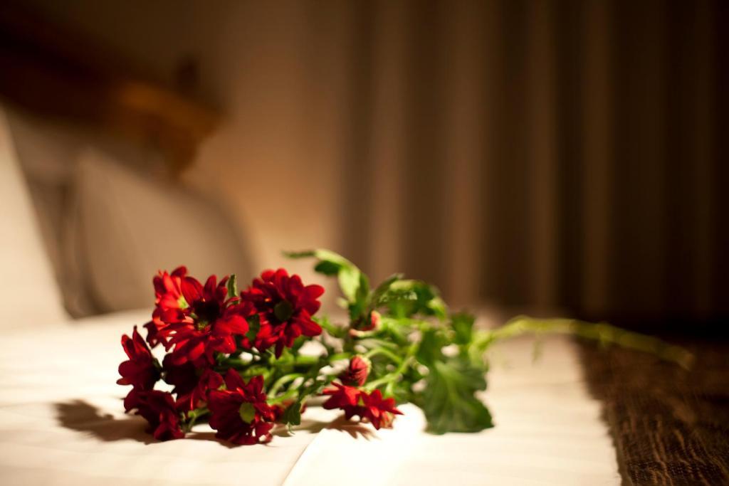 Dahlia Inn ปราก ห้อง รูปภาพ